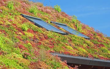 Fladbury living roof systems